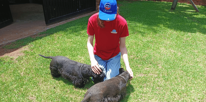 Latest-My-Pet-Care-How-to-choose-a-pet-sitter